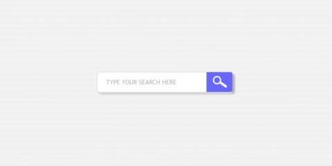 Quick Search Form Free PSD template