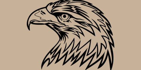 Eagle Head Design Free Vector File
