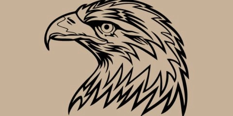 Eagle Head Design Free Vector File