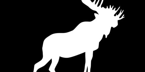 Moose Silhouette Design Free Vector File