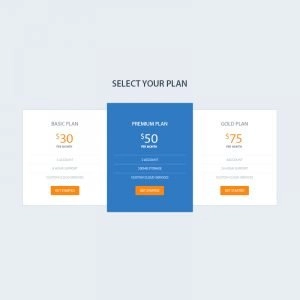 Elegant Pricing Table PSD Design for Website