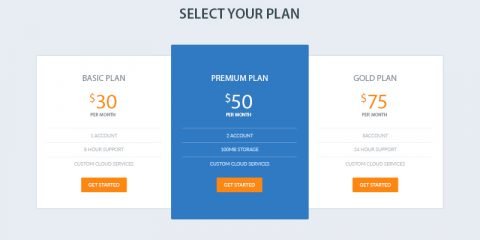 Elegant Pricing Table PSD Design for Website