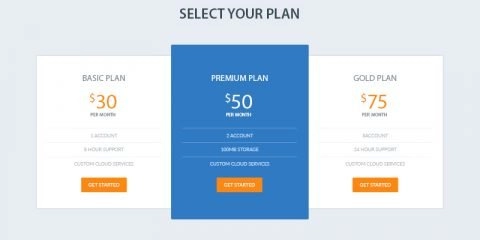 Elegant Pricing Table PSD Design for Website