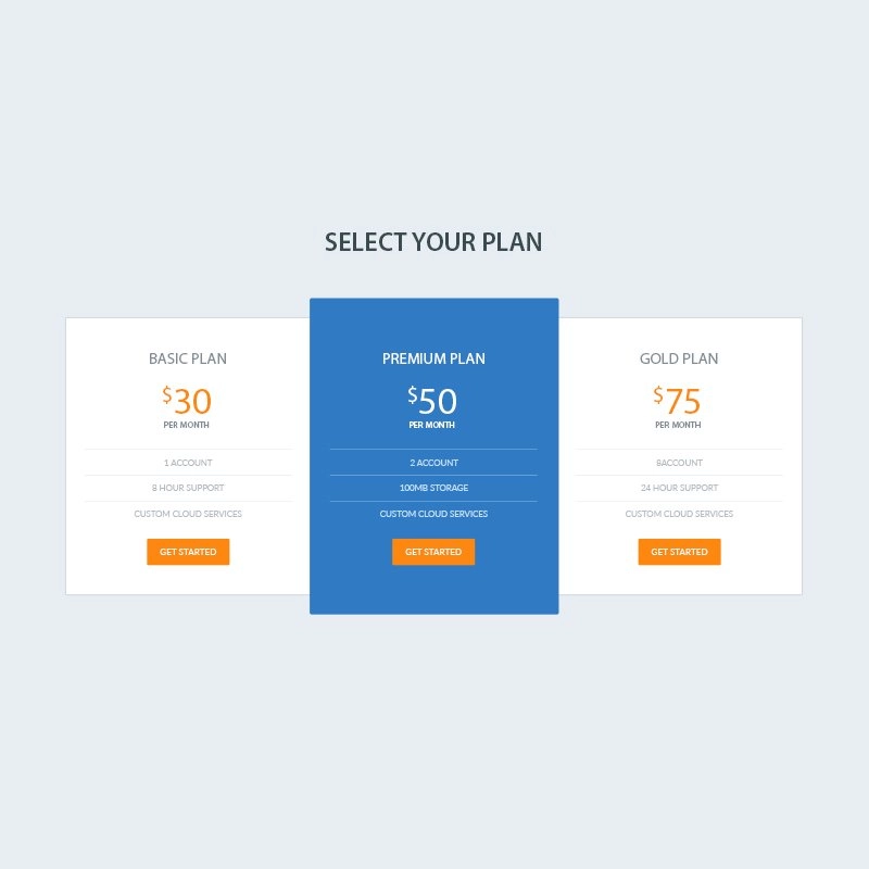 Elegant Pricing Table PSD Design for Website