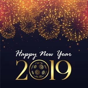 Happy New Year 2019 Greeting with Fireworks Free Vector Card