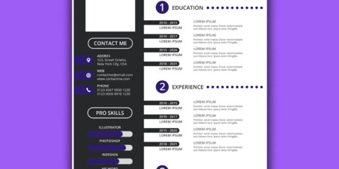 CV Template or Portfolio free download in the Vector format