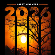 Happy new year 2026 celebration