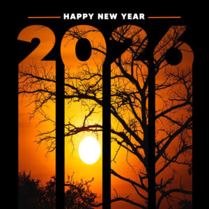 Happy new year 2026 celebration